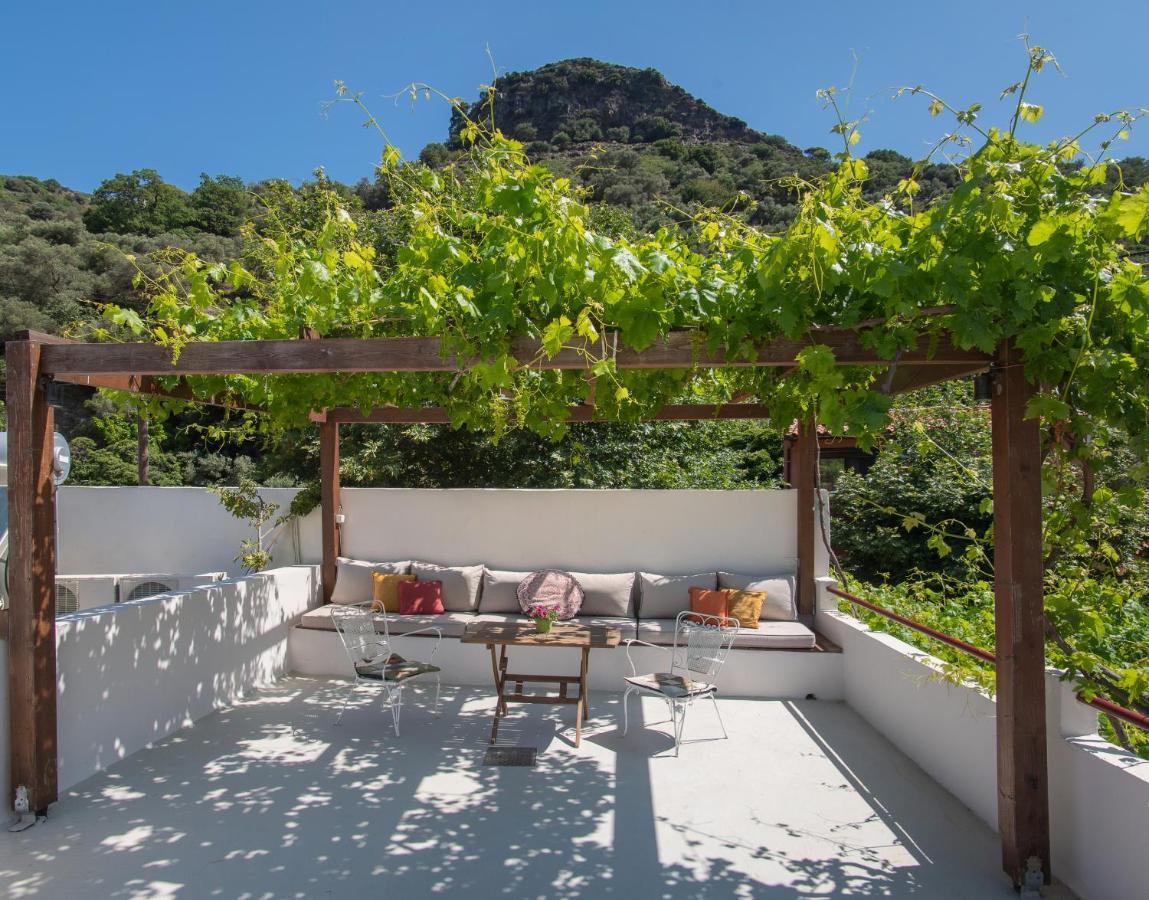 Feneri 3 -Cozy Rustic Apt 20' From Elafonisi Beach Exterior foto